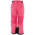 Hudson Baby baby boys Snow Pants Fuchsia 2T US